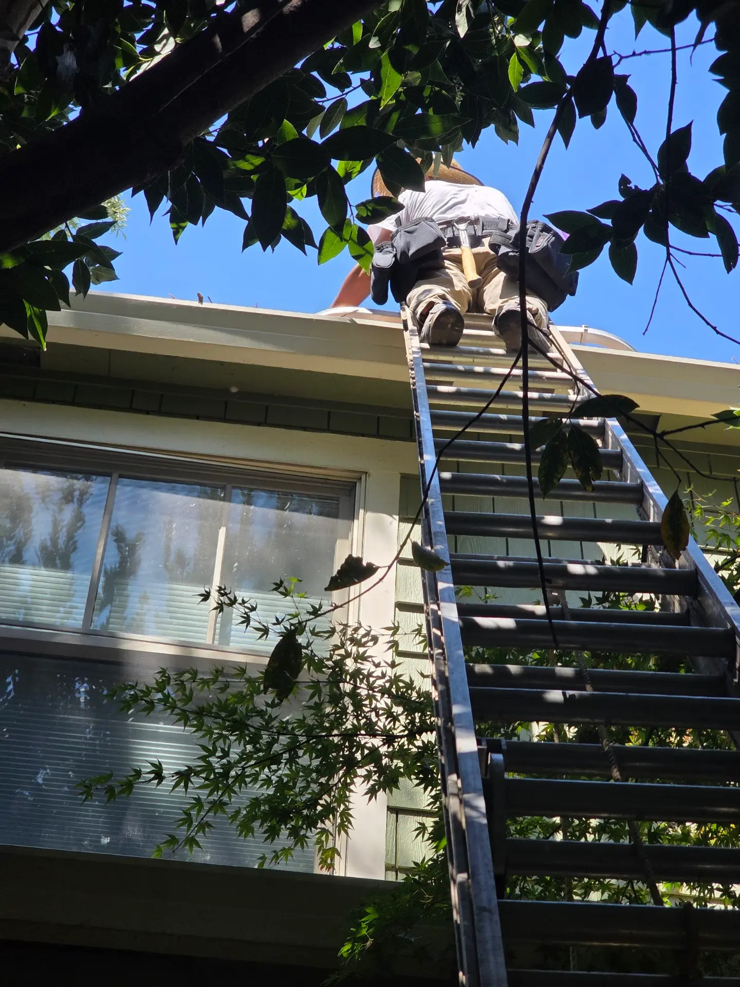 Damaged shingle repair & replacement